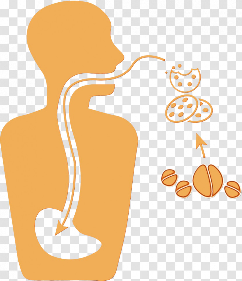 Joint Line Meter Behavior Human Transparent PNG