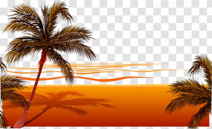 Beach Sunset Clip Art - Coconut - Vector Transparent PNG