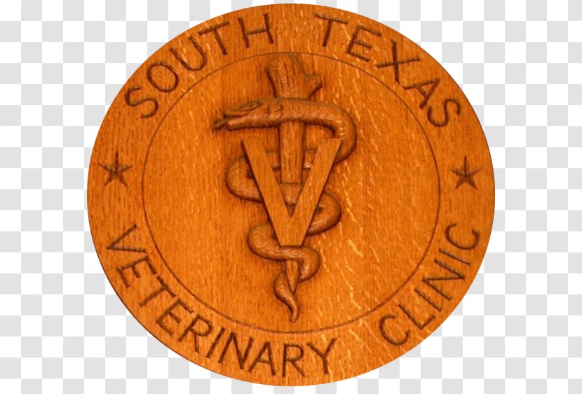 Beeville South Texas Veterinary Clinic Veterinarian George West - Pet Transparent PNG