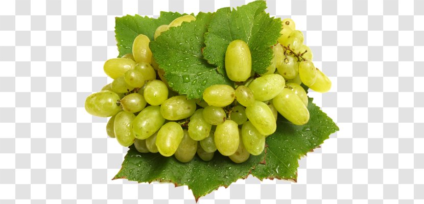 Fruit Vegetable Common Grape Vine Food Transparent PNG