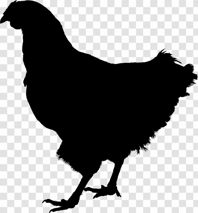 Rooster Silkie Kifaranga Hen Sticker - Chicken Nugget - Breed Transparent PNG