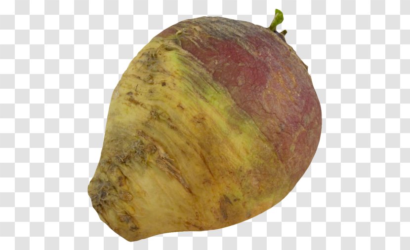 Rutabaga Root Vegetables Turnip - Tuber - Veggies Transparent PNG