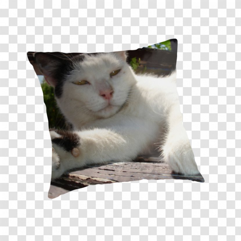 Whiskers Kitten Cat Throw Pillows Transparent PNG