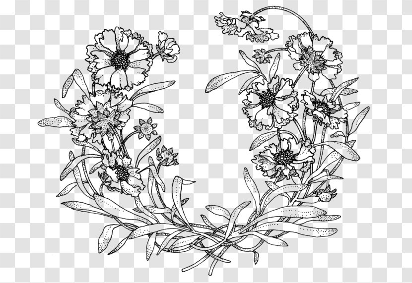 Drawing Treasury Of Flower Designs For Artists, Embroiderers And Craftsmen - Flowering Plant Transparent PNG