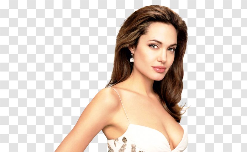 Angelina Jolie Lara Croft: Tomb Raider Celebrity - Heart Transparent PNG