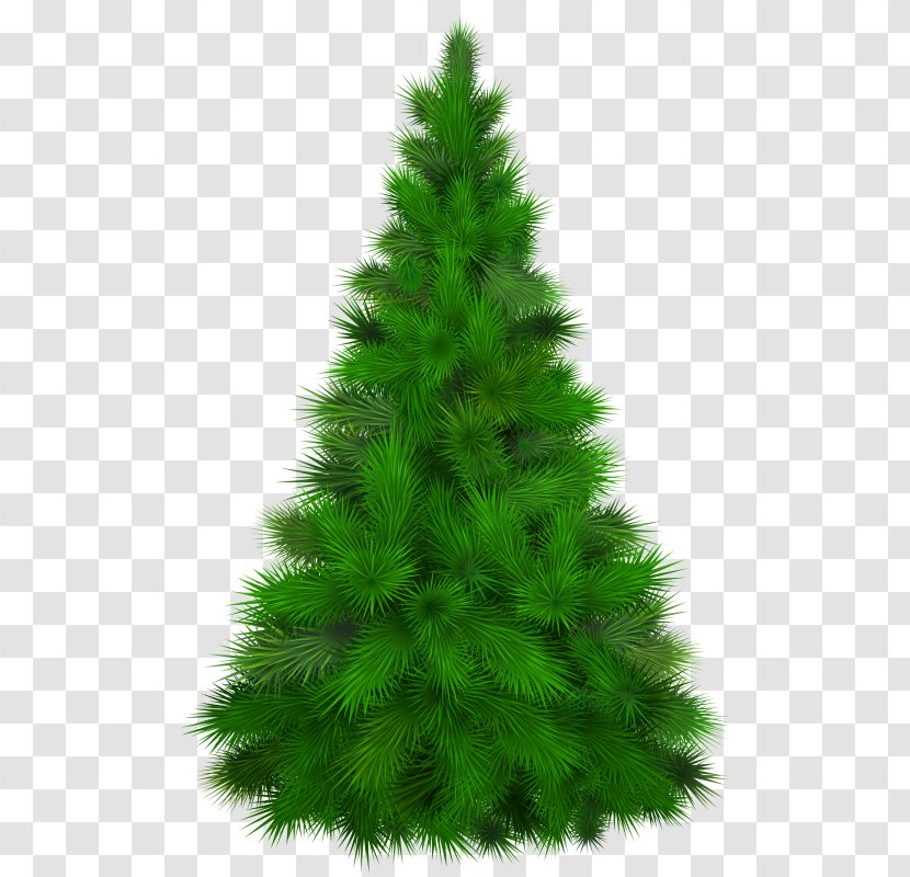 Clip Art Pine Image Tree Transparent PNG