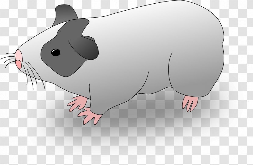 Guinea Pig Domestic Drawing Clip Art - Rodent Transparent PNG