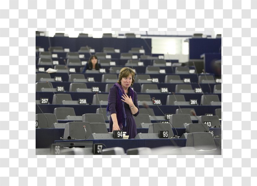 Strasbourg Plenary Session Angle Minute - Speech - European Citizens' Initiative Transparent PNG