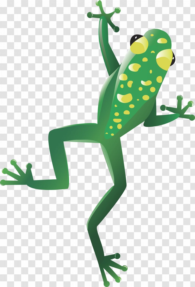 Reptile Turtle Lizard Crocodile - Frog Transparent PNG