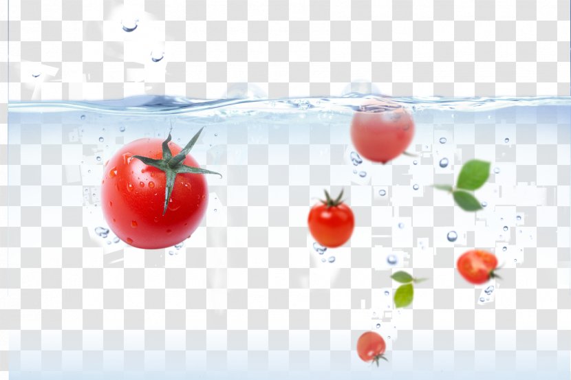 Cherry Tomato Water Filter Slicer Auglis Tap Transparent PNG