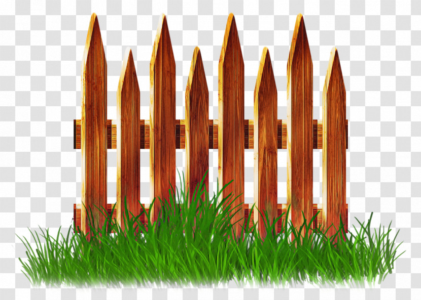 Grass Lawn Plant Transparent PNG