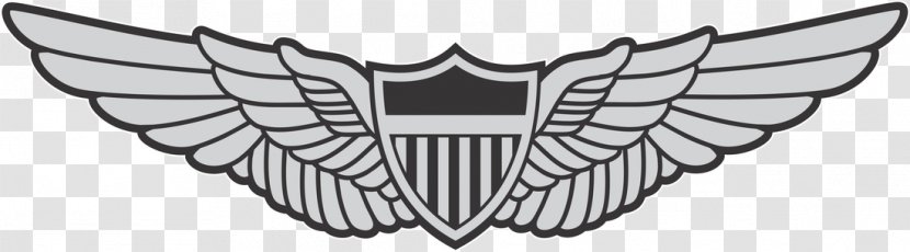 Aircrew Badge Aviator Army Aviation Military Transparent PNG