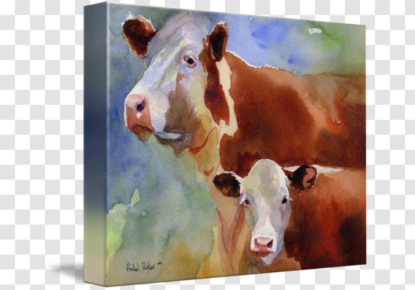 Dairy Cattle Hereford Calf Watercolor Painting - Paper Transparent PNG