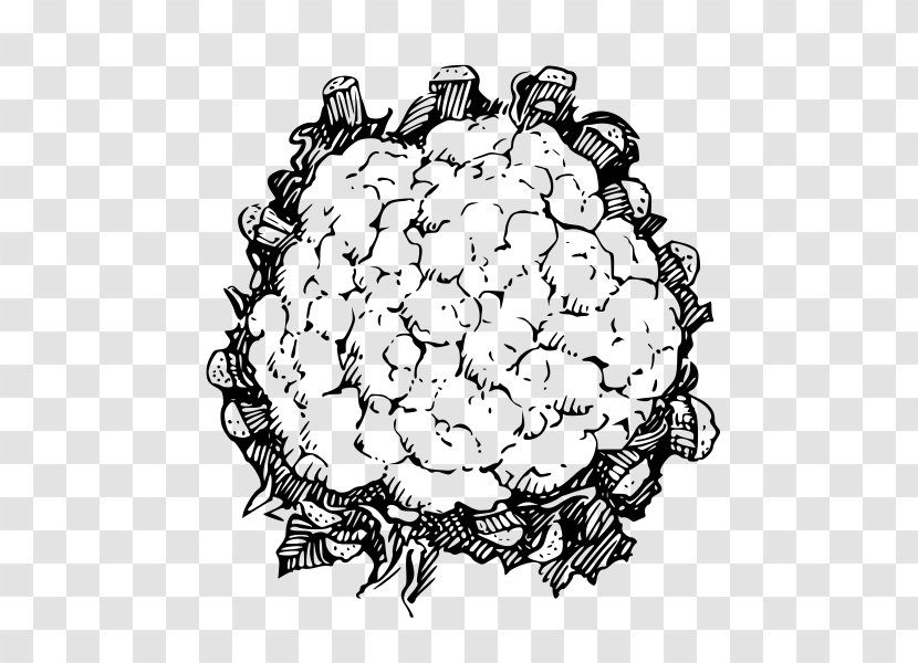 Line Art Drawing Cauliflower Clip - Tree Transparent PNG