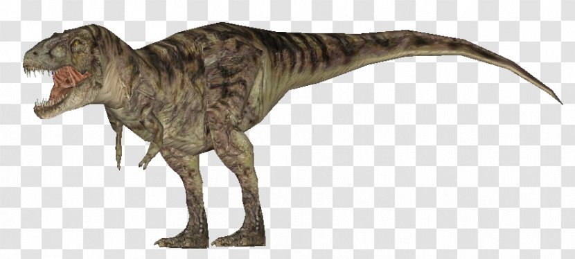 Tyrannosaurus Acrocanthosaurus Dromaeosaurus Eocarcharia Carnotaurus - Saurophaganax - Zoo Tycoon 2 Transparent PNG