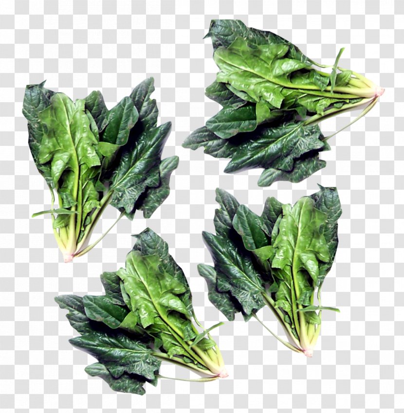 Spinach Vegetarian Cuisine Chard Komatsuna Vegetable - Leaf - Green Transparent PNG