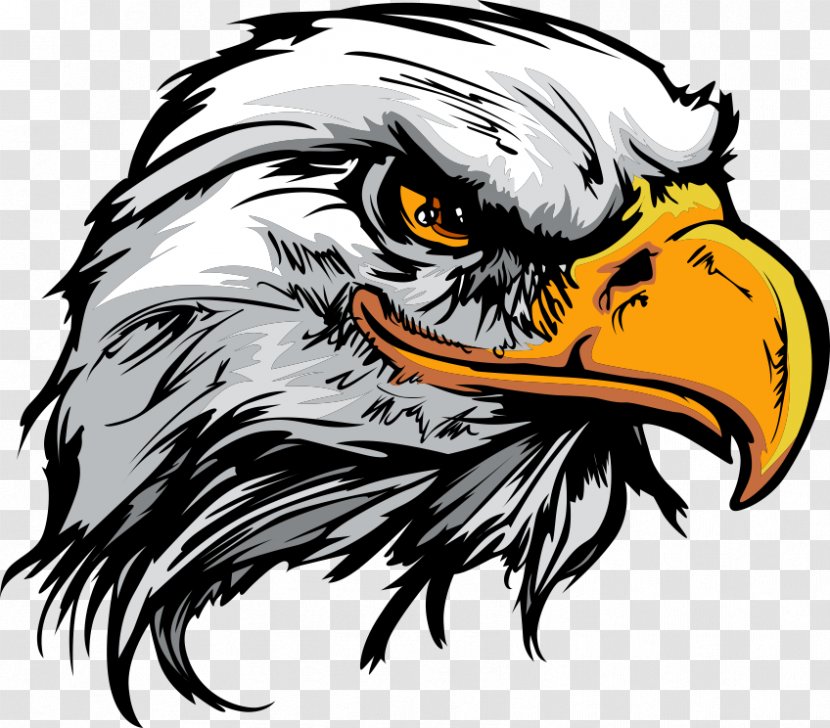 Bald Eagle Logo - Line Art - Cartoon Transparent PNG
