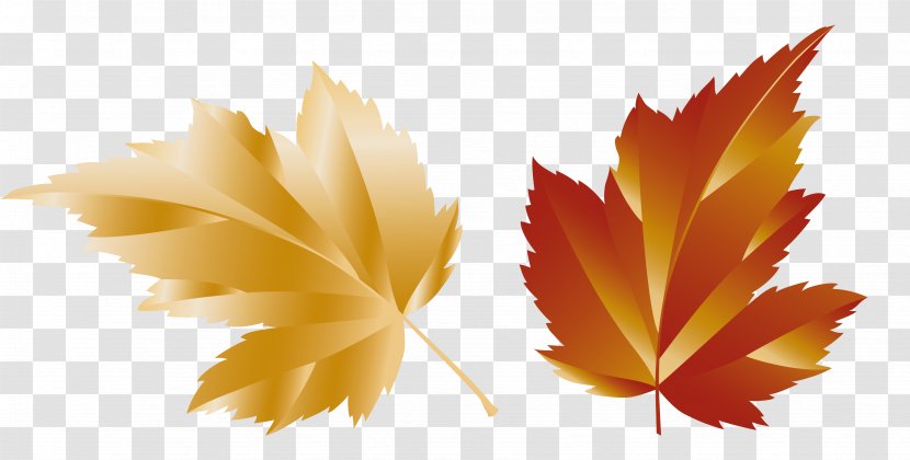 Maple Leaf Clip Art - Autumn Color - Leaves Transparent PNG
