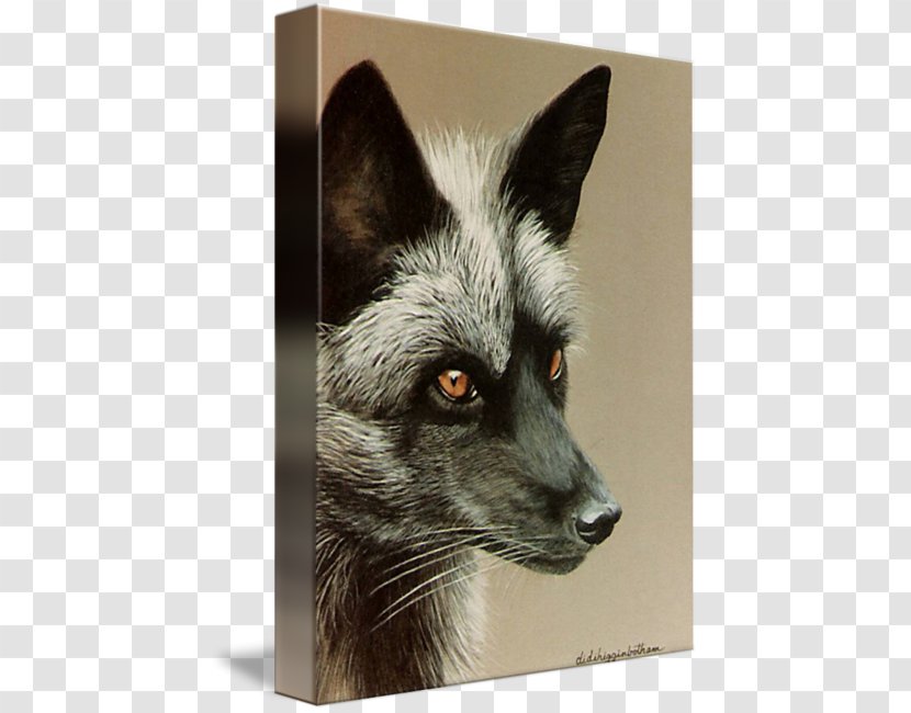 Red Fox Silver Gallery Wrap Painting Fur - Grey - Watercolor Transparent PNG
