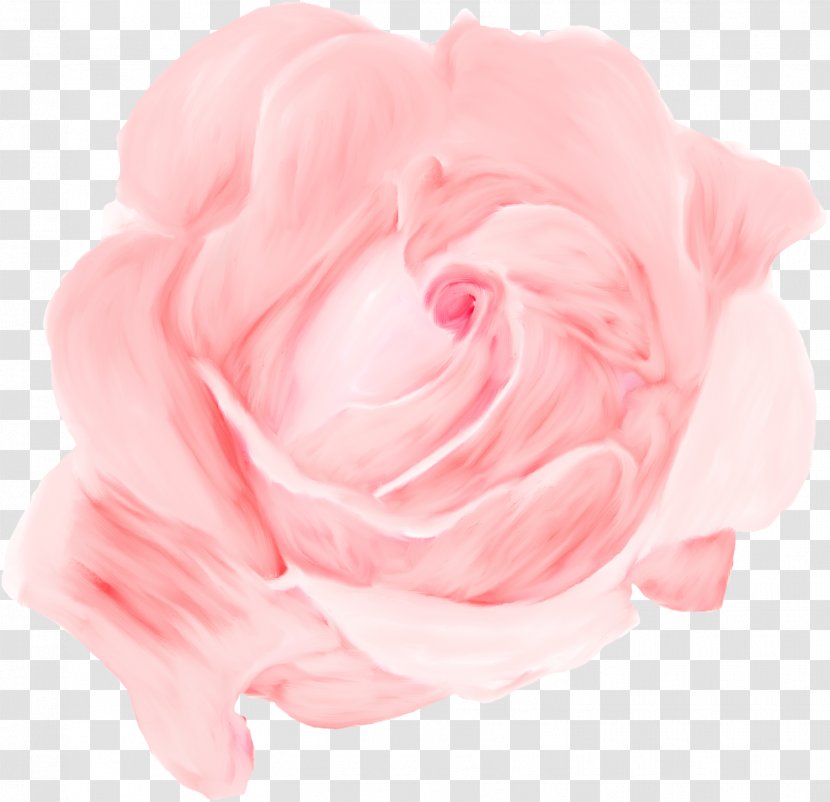Garden Roses Cabbage Rose Floribunda Naver Blog Petal - Hansel And Gretel Transparent PNG