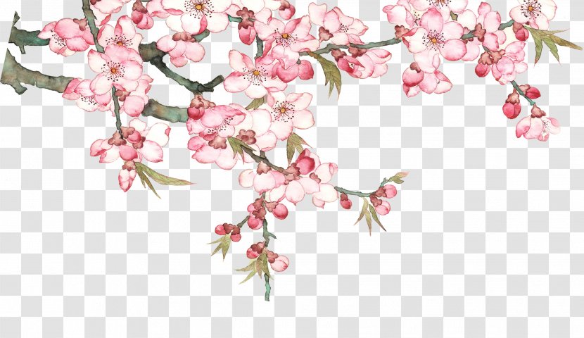 Download Pixel - Petal - Watercolor Peach Blossom Tree Transparent PNG