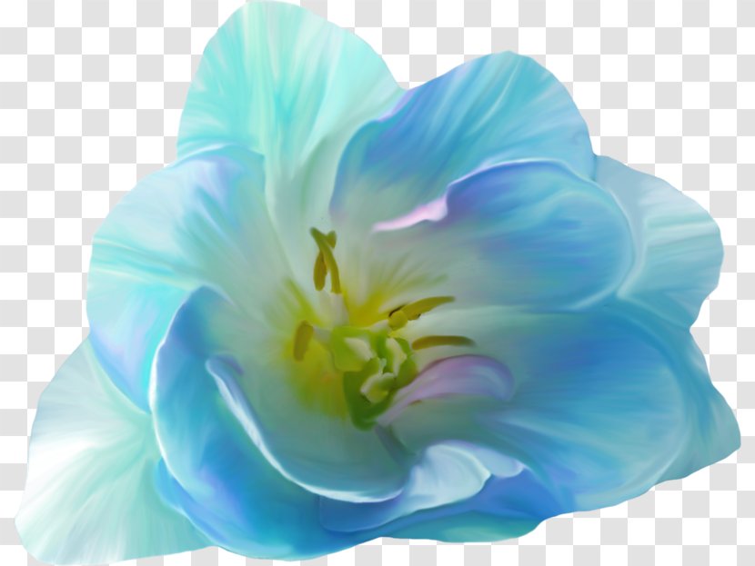 Pink Flowers Blue Clip Art - Petal - Flower Transparent PNG
