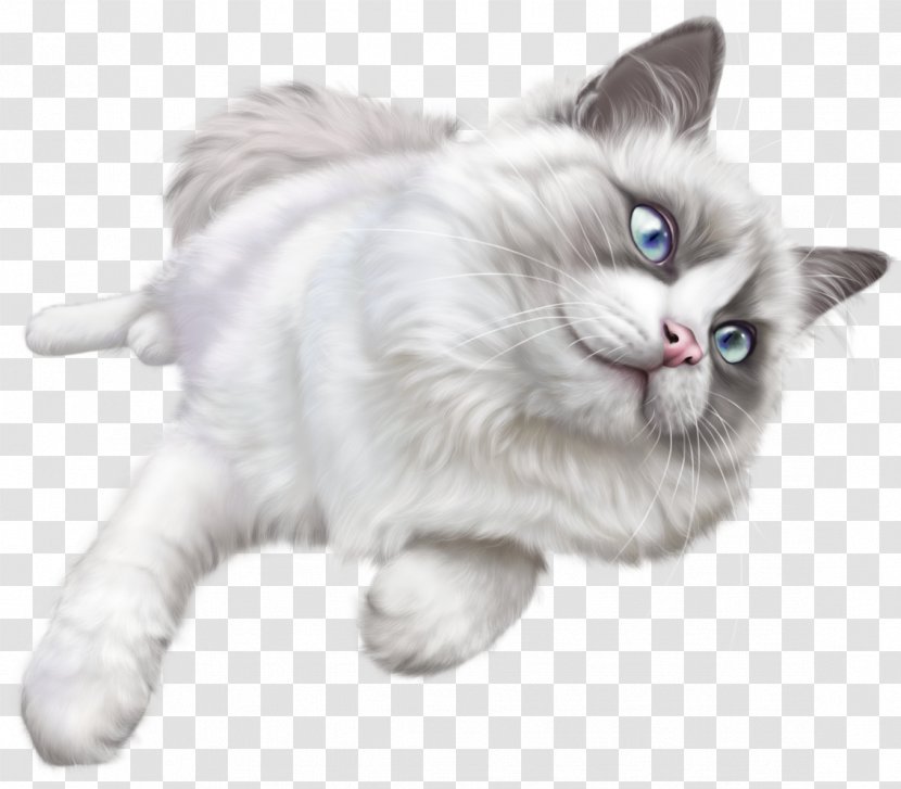 Kitten Ragdoll Clip Art - Domestic Short Haired Cat - Cats Transparent PNG