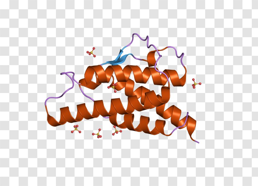 Interleukin 4 T Helper Cell MHC Class II Th2 Cytokine - Mhc I Transparent PNG