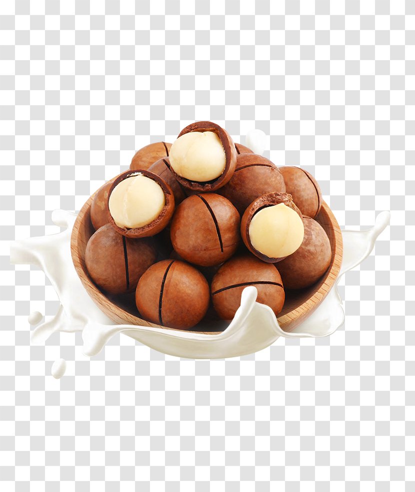 Milk Cream Macadamia Nut Food - Nuts Seeds Transparent PNG