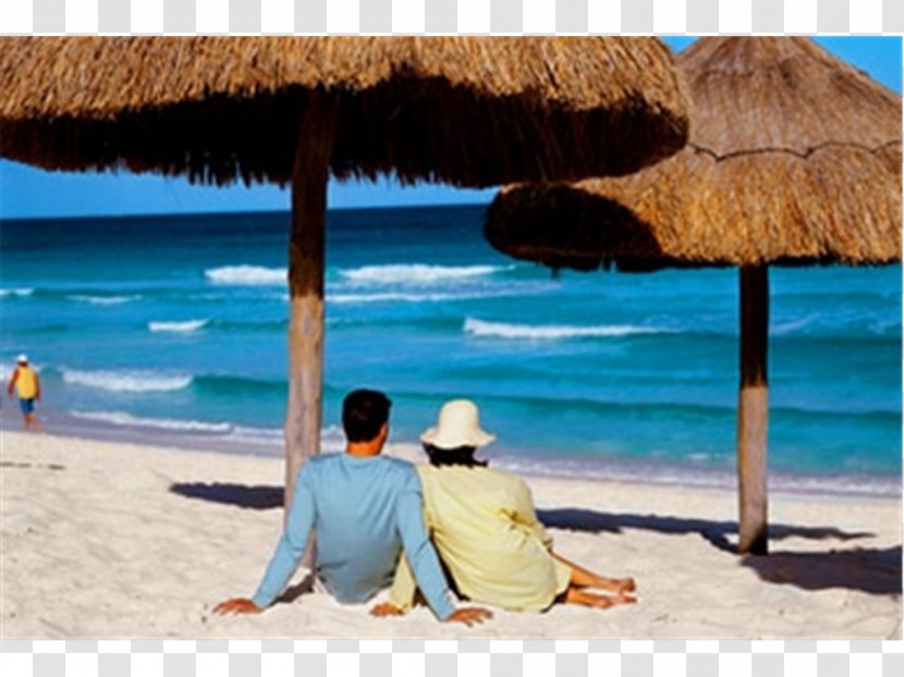 Playa Del Carmen Beach Caribbean The Westin Lagunamar Ocean Resort Villas & Spa - Flower Transparent PNG