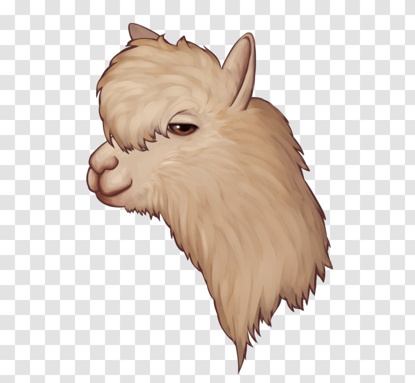 Snout Dog Whiskers Goat Camel Transparent PNG