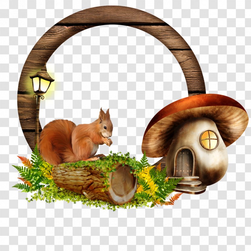 PhotoScape Autumn - Picture Frames - Squirrel Transparent PNG