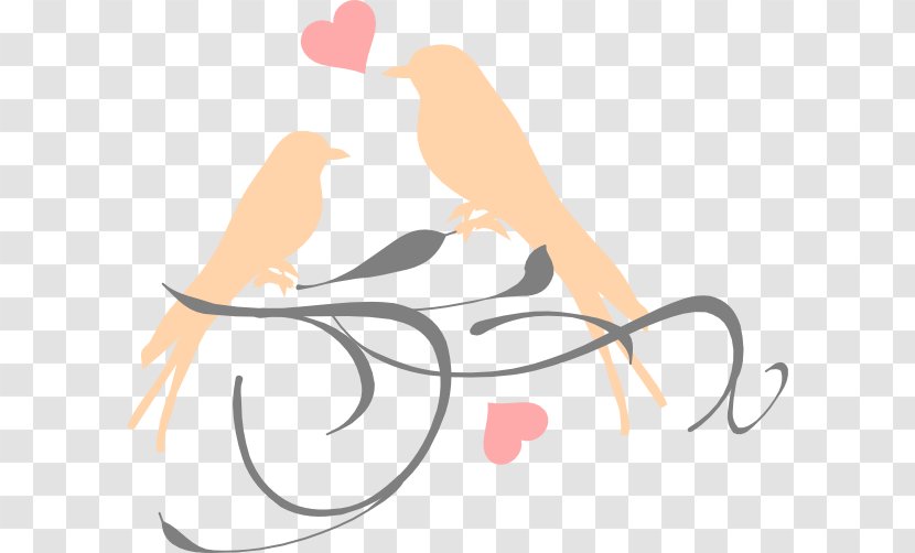Lovebird Wedding Invitation Clip Art - Flower - Peach Branch Transparent PNG