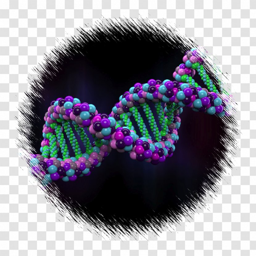 Human Genome Project Genetics - Body Jewelry - Genomics Cliparts Transparent PNG