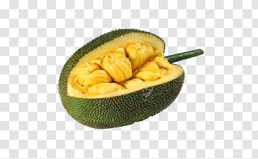 Jackfruit Cempedak Tropical Fruit Food - Commodity Transparent PNG