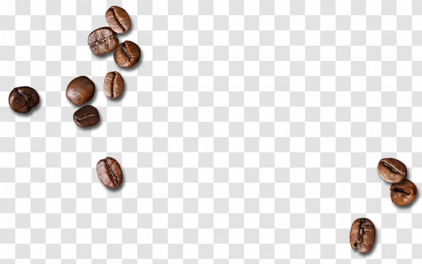 Coffee Bean - Pattern - Scattered Beans Transparent PNG