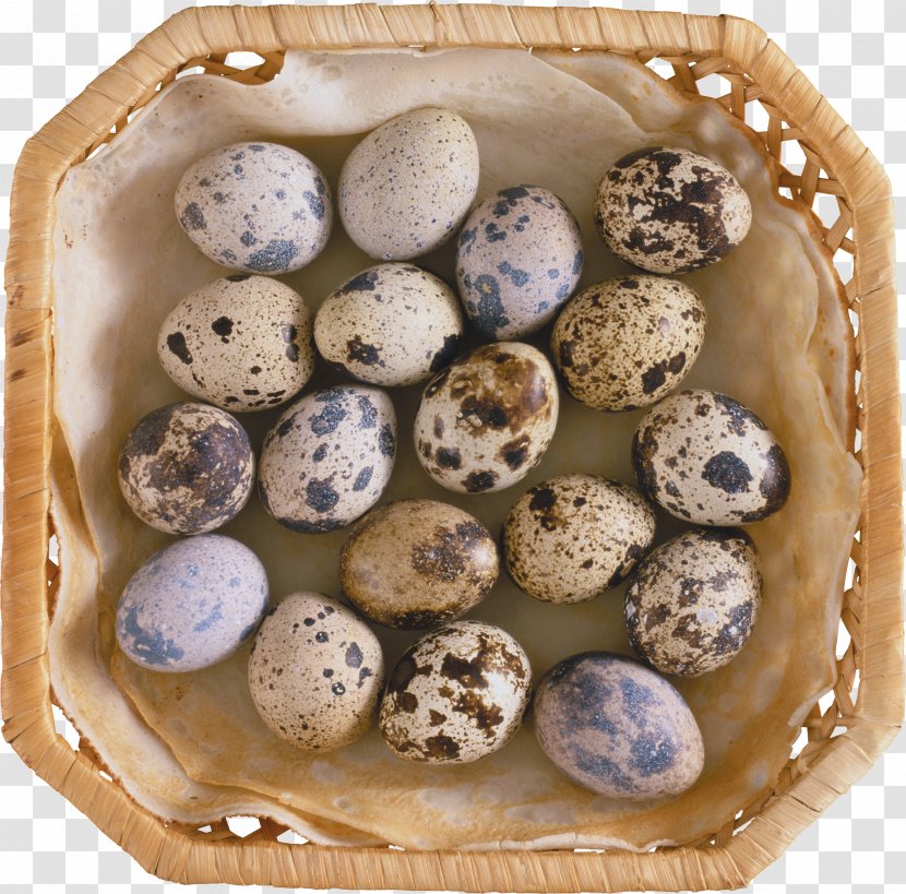 Quail Eggs Common Food - Egg Transparent PNG