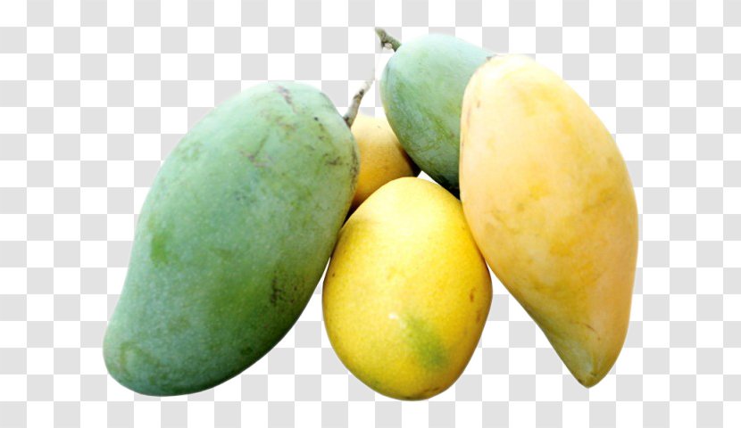 International Mango Festival Fruit Frozen Yogurt Food Transparent PNG