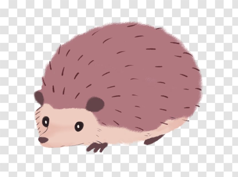 Hedgehog Desktop Wallpaper - Animal Transparent PNG