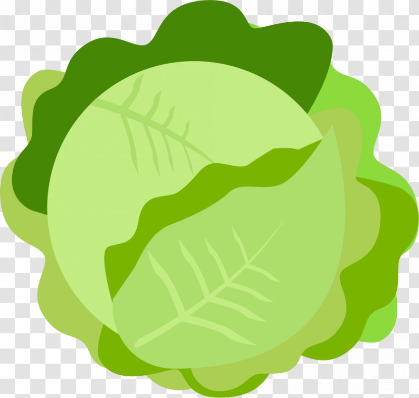 Fruit Vegetable Illustration - Fruchtgemxfcse - Green Cabbage Material Transparent PNG