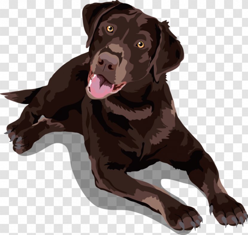 Labrador Retriever Chinese Crested Dog Puppy Breed German Shepherd - Like Mammal - Lab Vector Transparent PNG