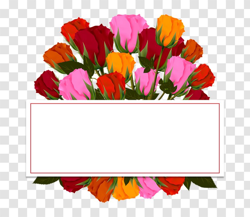 Flower Bouquet Bride Clip Art - Annual Plant - Clipart Transparent PNG