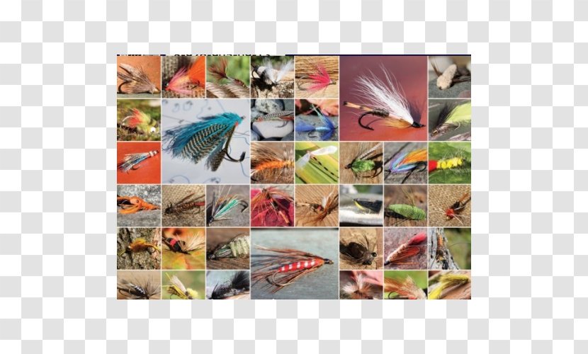 Jigsaw Puzzles Fly Fishing Outset Media Ravensburger - Collage Transparent PNG
