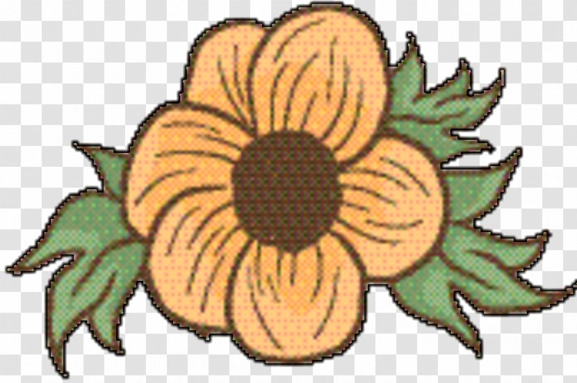 Marigold Flower - Blackeyed Susan - Wildflower Daisy Family Transparent PNG
