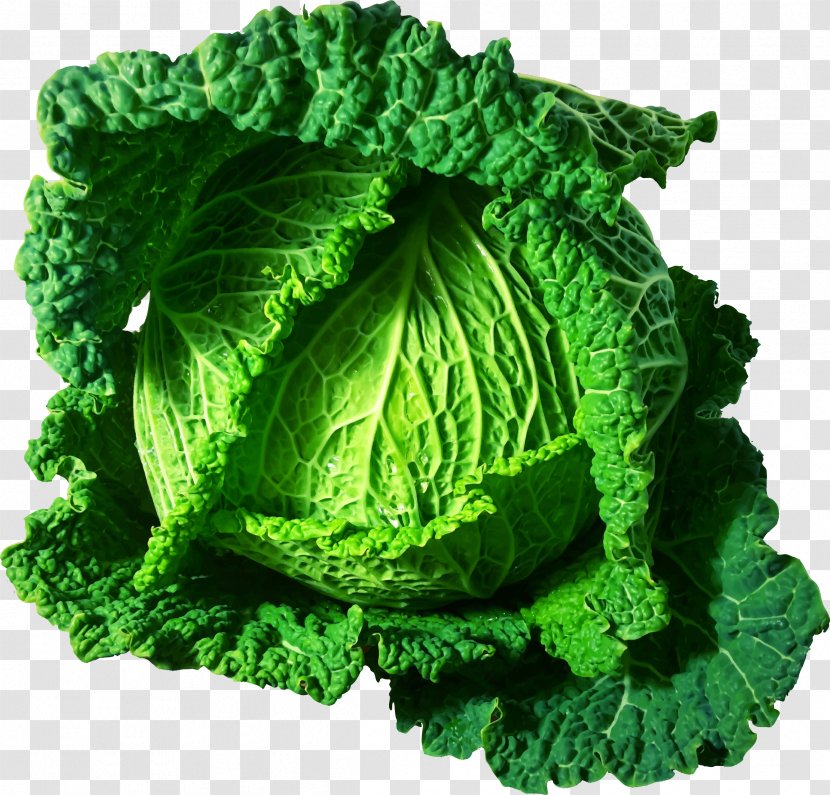 Cabbage Italian Cuisine Food Vegetable Health - Diabetic Diet Transparent PNG