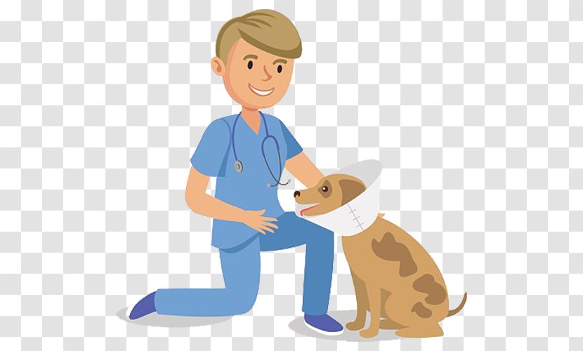 Dog Veterinarian Cartoon Pet - Tree - And Doctor Transparent PNG