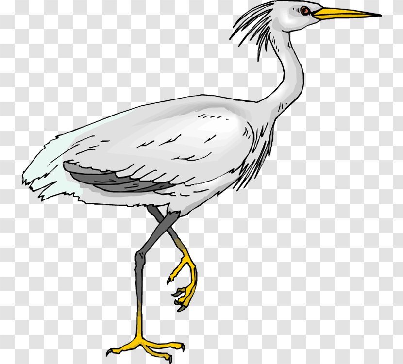 Green Heron Bird Egret Clip Art - Beak - Clipart Transparent PNG