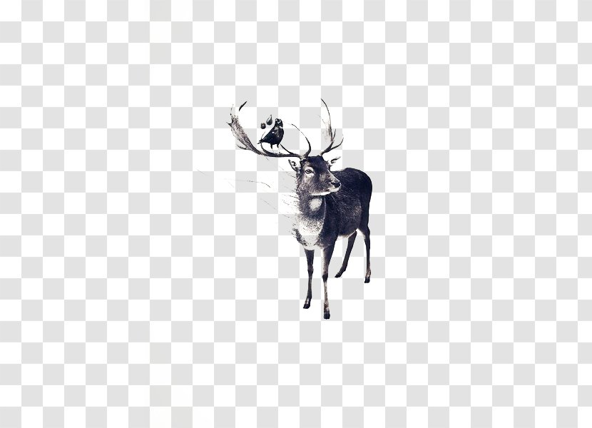 Pxe8re Davids Deer Drawing Watercolor Painting Illustration - Sika Transparent PNG
