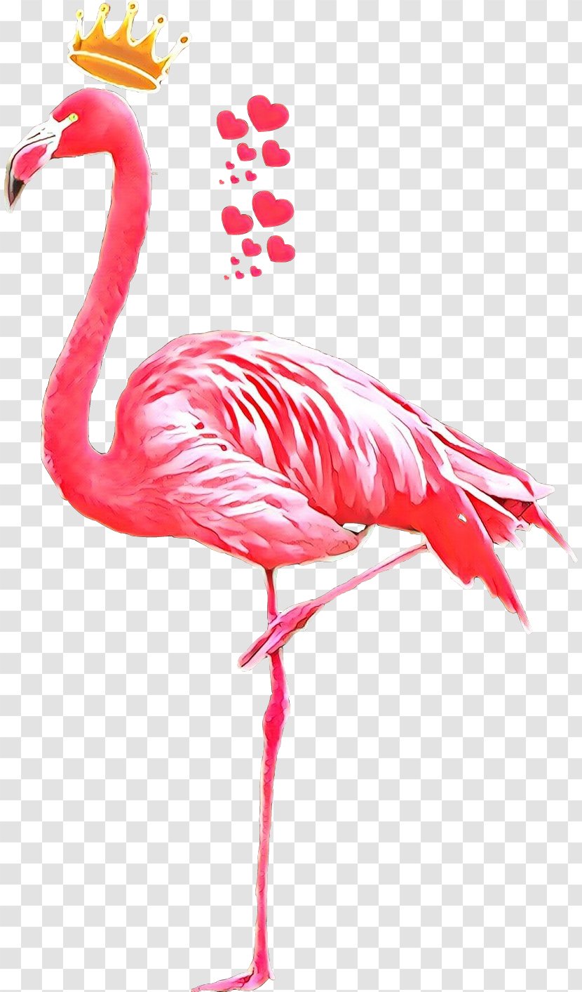 Bird Crane Beak Pink M - Water Transparent PNG