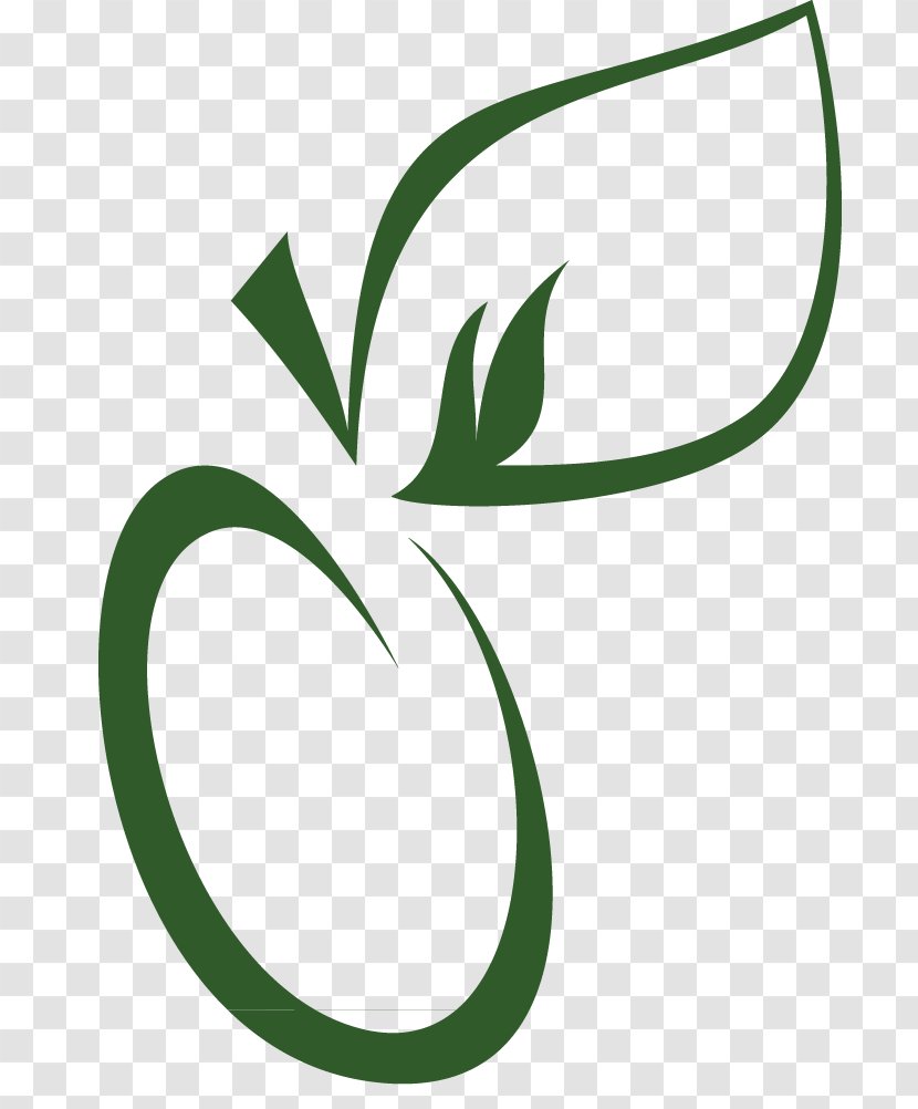 Leaf Green Plant Stem Flower Clip Art - Olive Oil Logo Transparent PNG